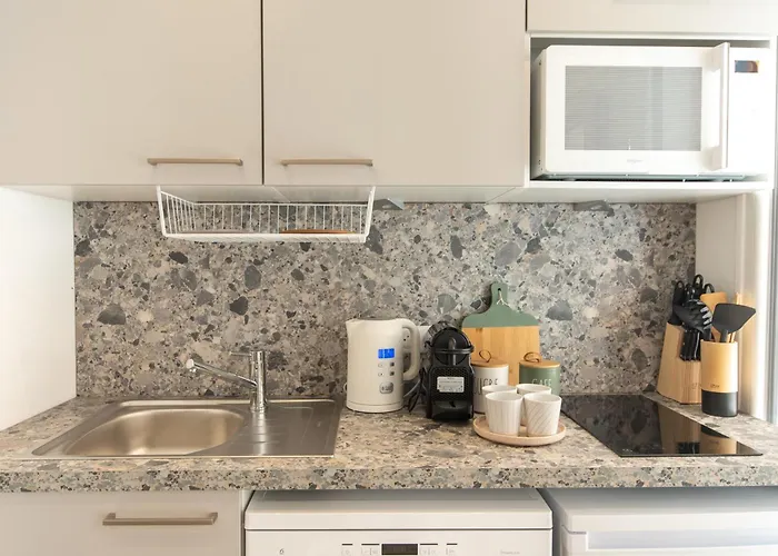 Les Des Forges Appartement Strasbourg