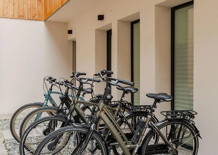 Les Des Forges Appartement Strasbourg